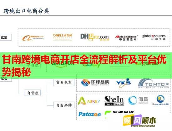 甘南跨境电商开店全流程解析及平台优势揭秘