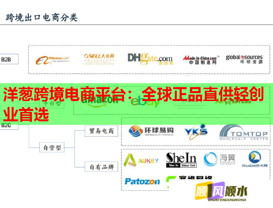 洋葱跨境电商平台：全球正品直供轻创业首选
