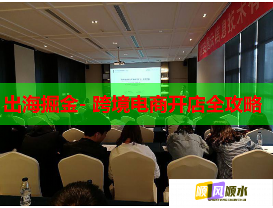 出海掘金- 跨境电商开店全攻略 出海掘金- 跨境电商开店全攻略