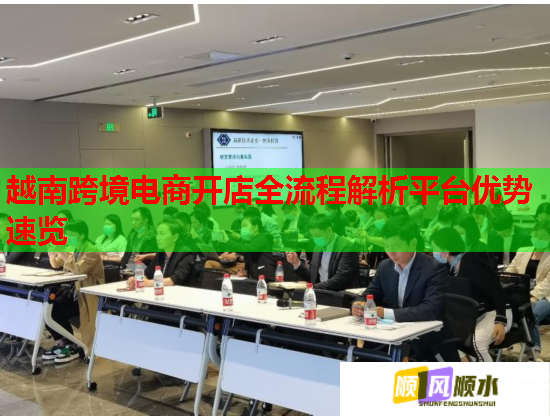 越南跨境电商开店全流程解析平台优势速览