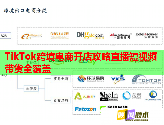 TikTok跨境电商开店攻略直播短视频带货全覆盖 TikTok跨境电商开店攻略直播短视频带货全覆盖