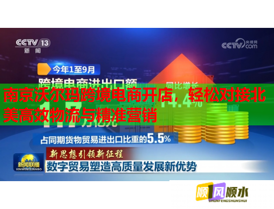 南京沃尔玛跨境电商开店，轻松对接北美高效物流与精准营销