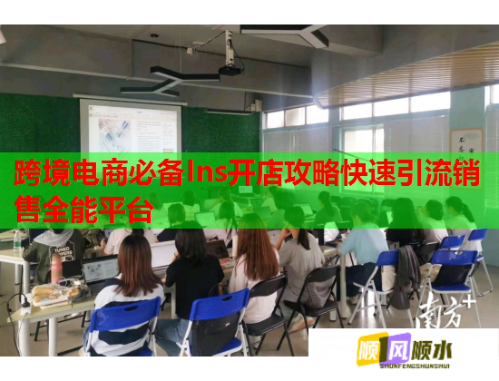 跨境电商必备Ins开店攻略快速引流销售全能平台