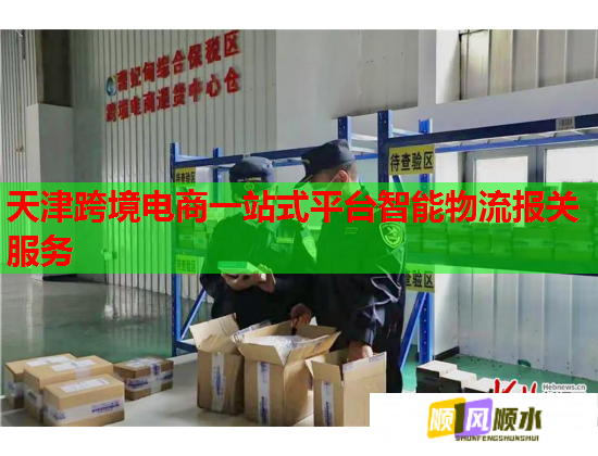 天津跨境电商一站式平台智能物流报关服务