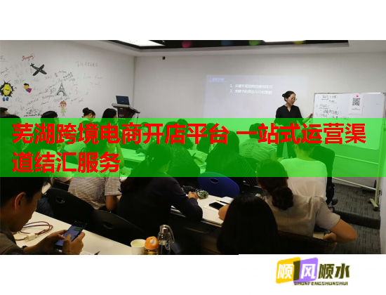 芜湖跨境电商开店平台 一站式运营渠道结汇服务