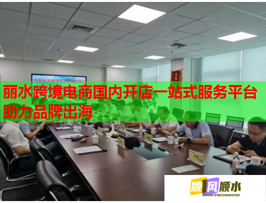 丽水跨境电商国内开店一站式服务平台助力品牌出海