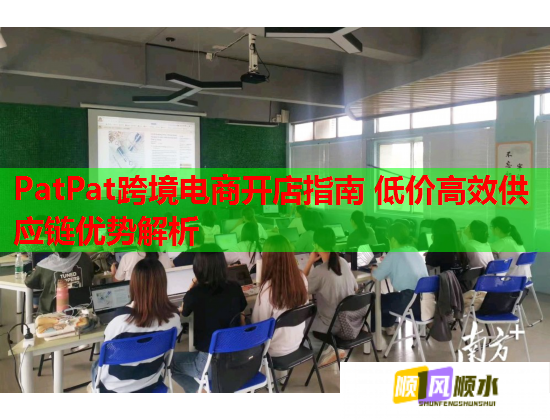 PatPat跨境电商开店指南 低价高效供应链优势解析