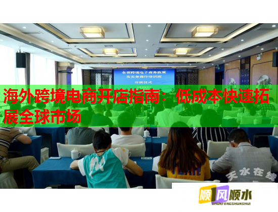 海外跨境电商开店指南：低成本快速拓展全球市场