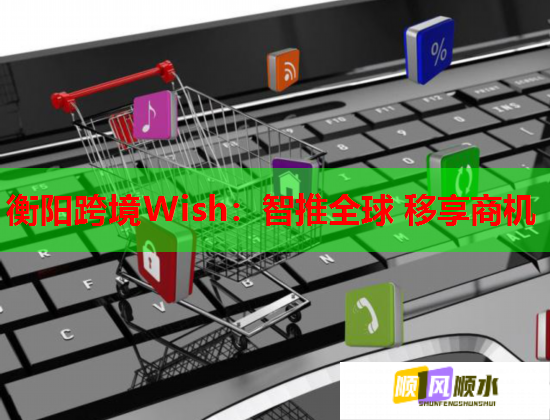 衡阳跨境Wish：智推全球 移享商机