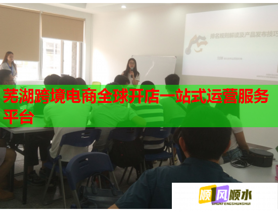 芜湖跨境电商全球开店一站式运营服务平台