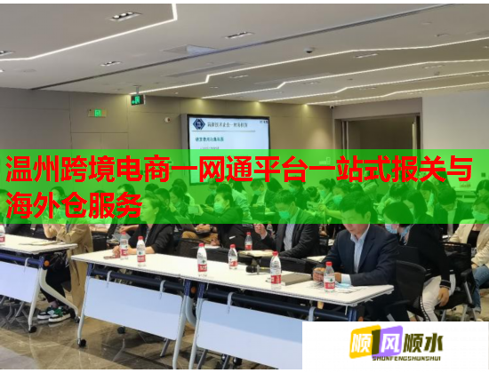 温州跨境电商一网通平台一站式报关与海外仓服务