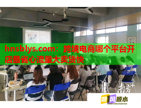 hnsblys.com：跨境电商哪个平台开店最省心流量大卖货快
