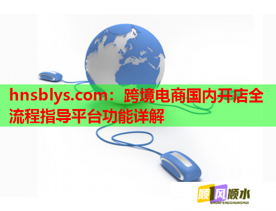 hnsblys.com：跨境电商国内开店全流程指导平台功能详解