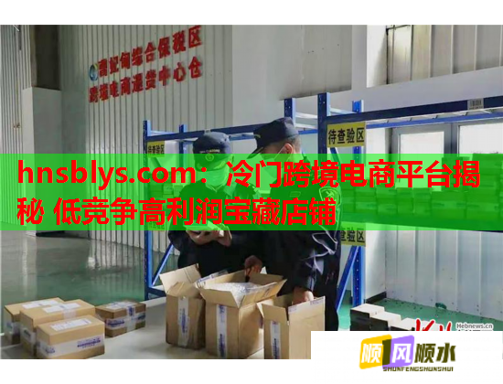 冷门跨境电商平台揭秘 低竞争高利润宝藏店铺